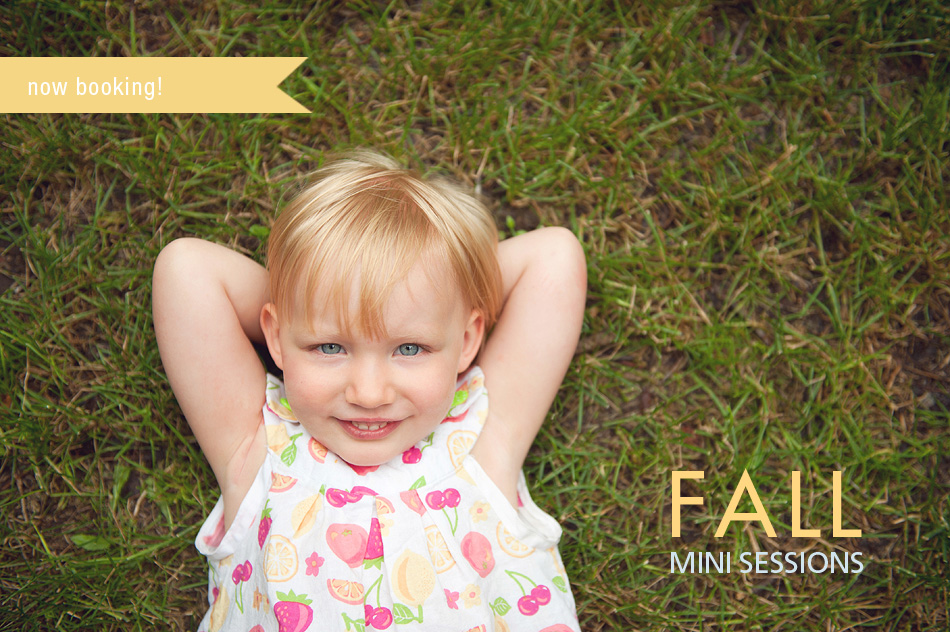 2012FallMini